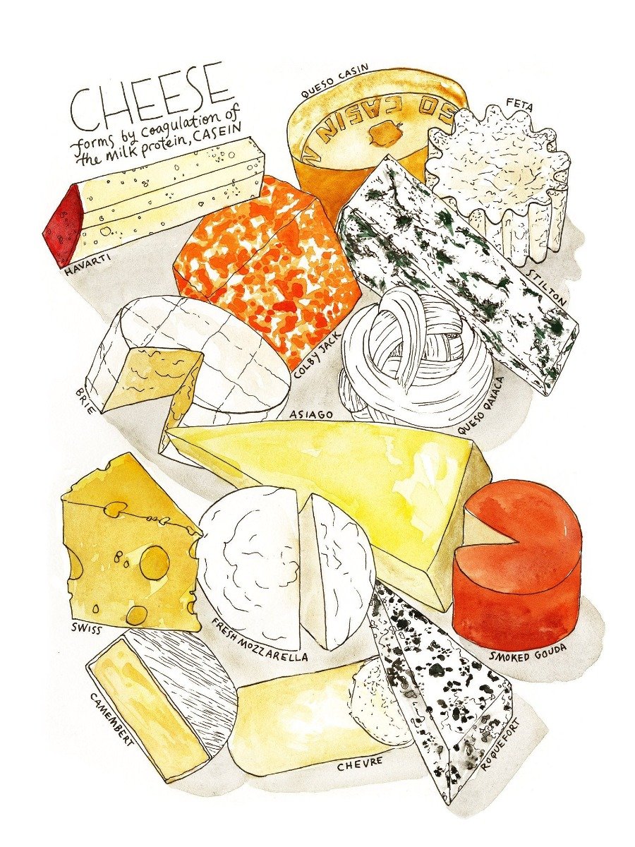 Marcella Kriebel 'Cheese Plate' Watercolor Print